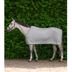 Waldhausen Fleece-Decke Economic Silbergrau