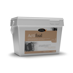 Actifoal HP Horse Master