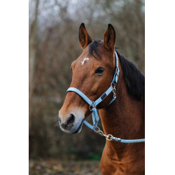 Nylonhalfter Spring Equithème Türkis Blau Nylonhalfter Spring Equithème Türkis Blau