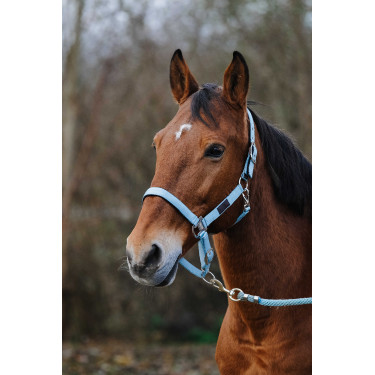 Nylonhalfter Spring Equithème Türkis Blau Nylonhalfter Spring Equithème Türkis Blau