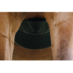 Gurt mit Magnetbauchlatz Norton Schwarz