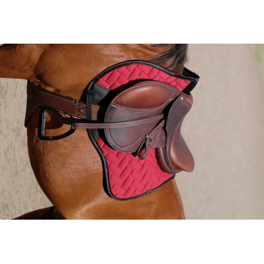 Gurt mit Magnetbauchlatz Norton