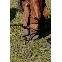 Erzieherisches Norton-Halfter Schwarz