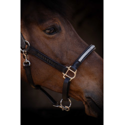 Halfter Pénélope Harmonie Halfter Pénélope Harmonie