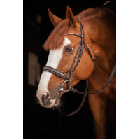 Trense Pénélope Daily Strass SR Havanna Braun