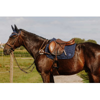 Brustblatt NORTON – 5 Punkte Havanna Braun