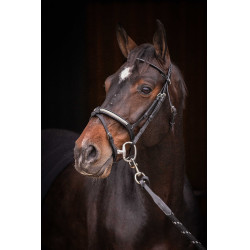 Trensenzaum Pénélope Symphonie Schwarz