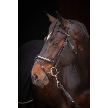 Trensenzaum Pénélope Symphonie Schwarz