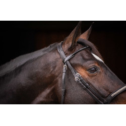 Trensenzaum Pénélope Symphonie Schwarz