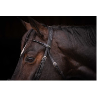 Trensenzaum Pénélope Symphonie Havanna Braun