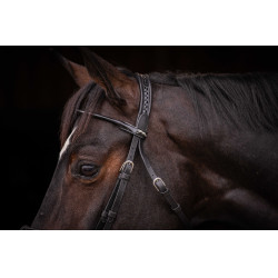 Trensenzaum Pénélope Symphonie Schwarz