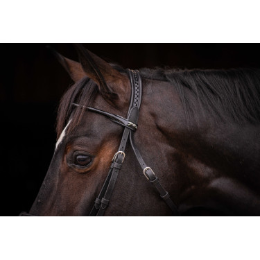 Trensenzaum Pénélope Symphonie Schwarz