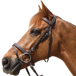 Zaumzeug Privilege Equitation Grandville kombiniert Zaumzeug Privilege Equitation Grandville kombiniert