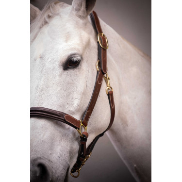 Lederhalfter mit 3 Karabinern Paddock Sports Havanna Braun