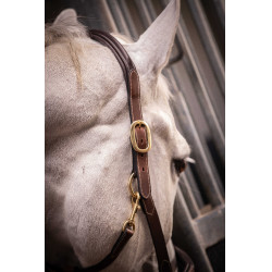 Lederhalfter mit 3 Karabinern Paddock Sports Havanna Braun