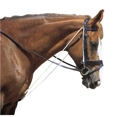 Chambon Excelsior mit Rollen