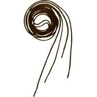 Schnürsenkel Equithème Braun