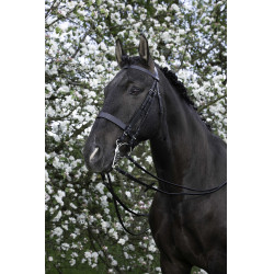 Zaum Riding World Schwarz