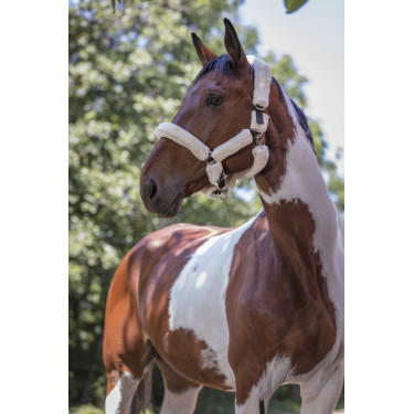 Norton Halfter Full synthetisches Lammfell Schwarz / Ecru