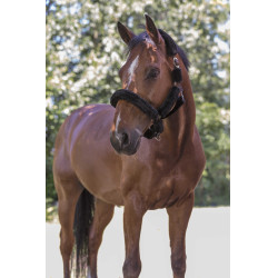 Norton Halfter Full synthetisches Lammfell Schwarz / schwarz