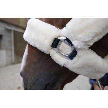Halfter Equithème Teddy Marine / Ecru Blau