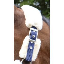 Halfter Equithème Teddy Marine / Ecru Blau