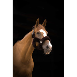 Halfter Equithème Teddy Schwarz / Braun