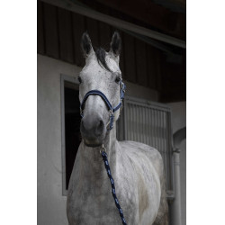 Halfter + Führstrick Equitheme Satiniert Marine / Himmelblau