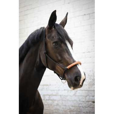 Amerikanisches Ethologisches Halfter Pénélope Schwarz