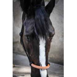 Amerikanisches Ethologisches Halfter Pénélope Schwarz