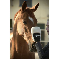 Putzhandschuh Pénélope Schwarz