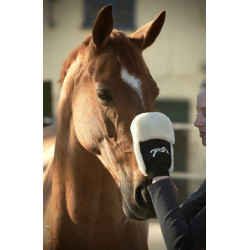 Putzhandschuh Pénélope Putzhandschuh Pénélope