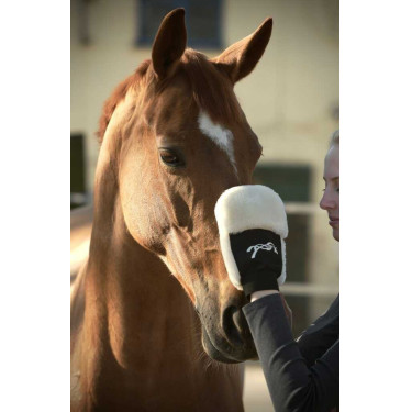 Putzhandschuh Pénélope Putzhandschuh Pénélope