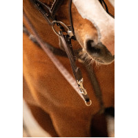 Ausbinder Pénélope Howlett Havanna Braun