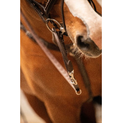 Ausbinder Pénélope Howlett