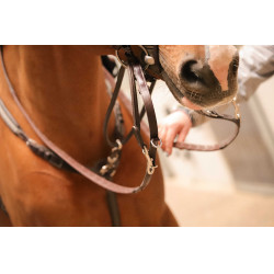 Ausbinder Pénélope Howlett