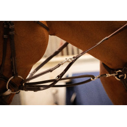 Ausbinder Pénélope Howlett