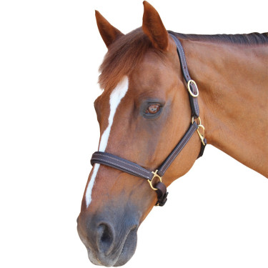 Halfter Privilege Equitation La Baule Halfter Privilege Equitation La Baule