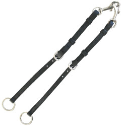 Martingal Halsband Privilege Equitation das Paar