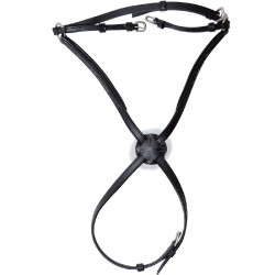 Kreuznasenriemen Royan Privilege Equitation