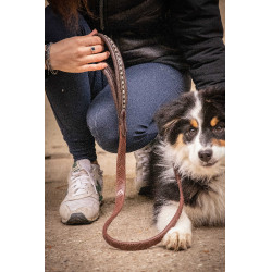 Lass los Hund Pénélope Rubber Havanna Braun