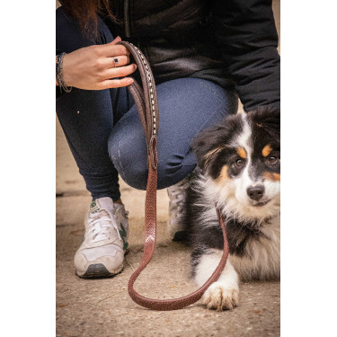 Lass los Hund Pénélope Rubber Havanna Braun