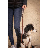 Lass los Hund Pénélope Rubber Havanna Braun