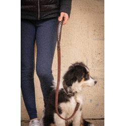 Lass los Hund Pénélope Rubber Havanna Braun