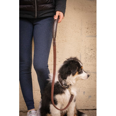 Lass los Hund Pénélope Rubber Havanna Braun