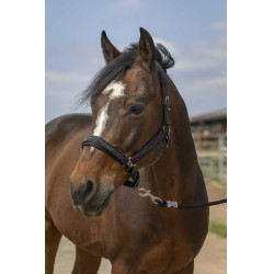 Halfter Equithème Nylon Strass Schwarz