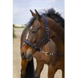 Halfter Equithème Nylon Strass