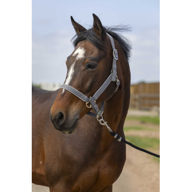 Halfter Equithème Nylon Light Grau