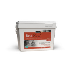 Best Hoof Biotin Horse Master