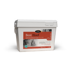 Best Hoof Biotin Horse Master